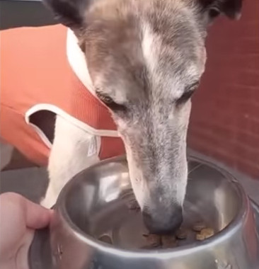 Extra image from article