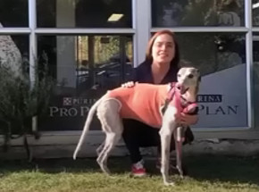 Extra image from article