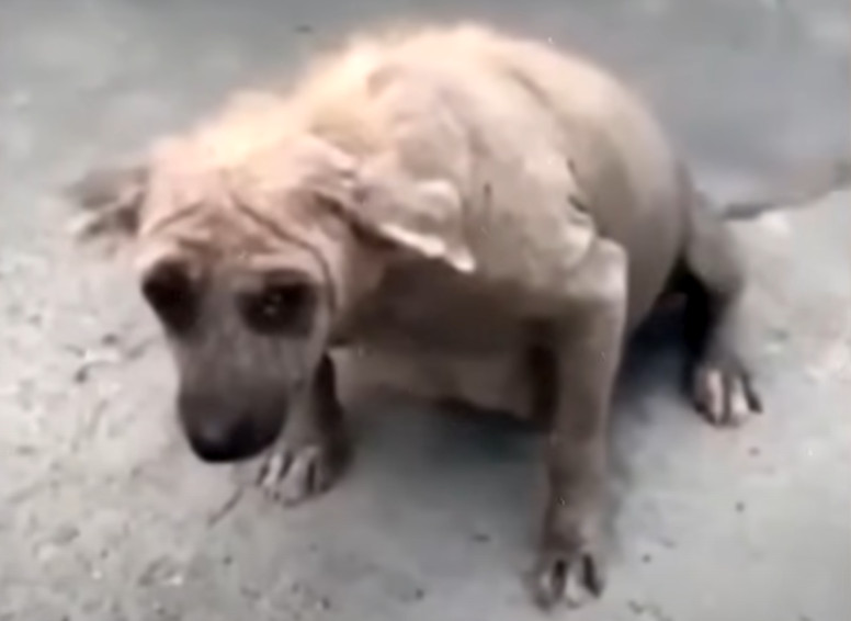 Thankfully, the man chose to help. Under...