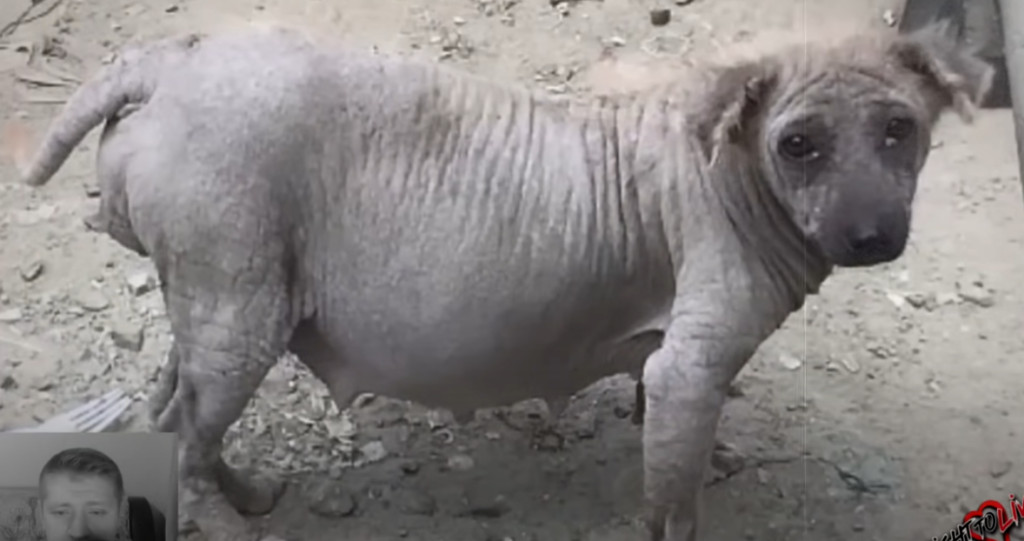 Extra image from article