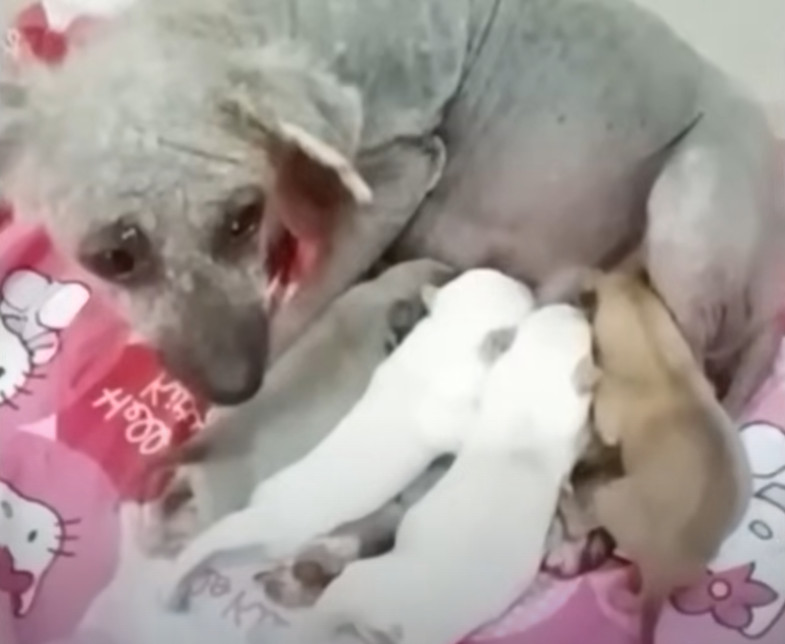 Extra image from article