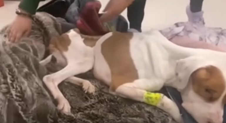 Every day marks a small victory: eating,...