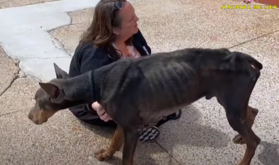 Extra image from article