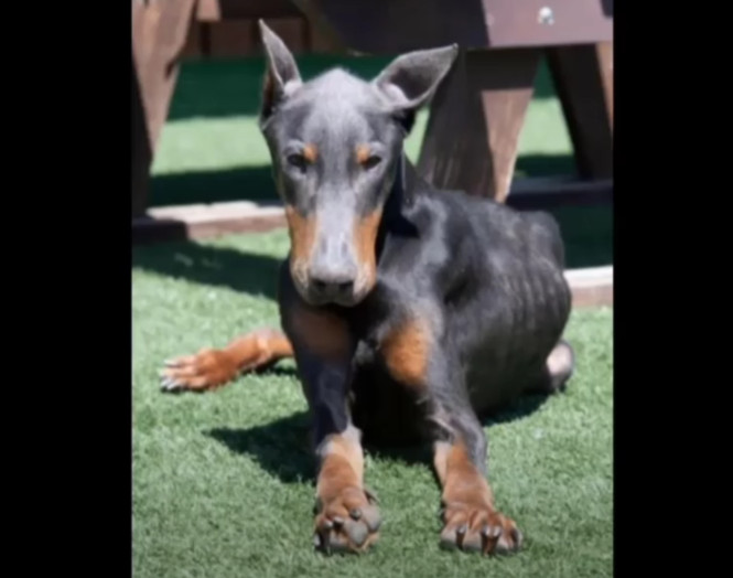 Extra image from article