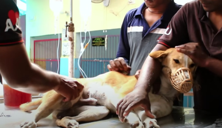 While the road to healing was riddled wi...