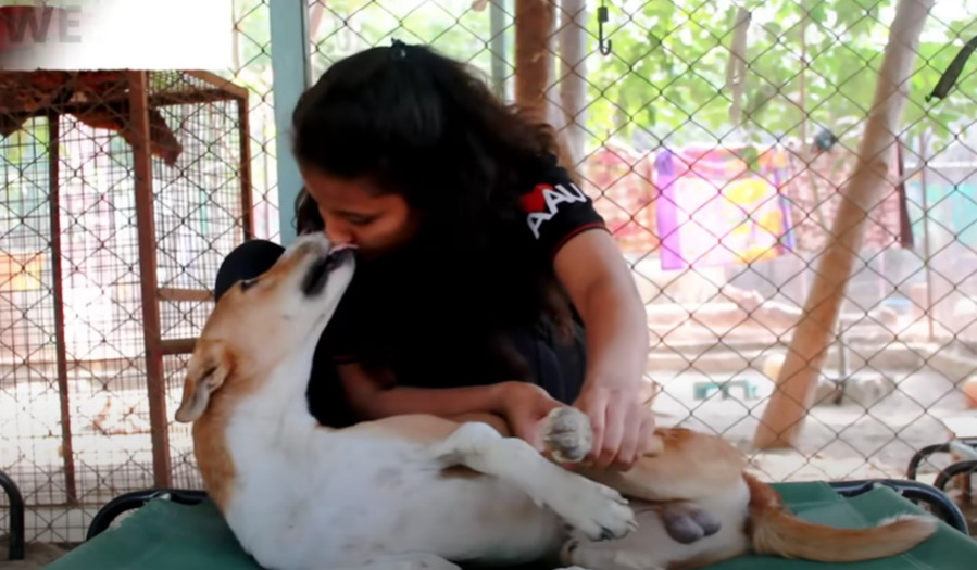 However, Champ's journey wasn't just abo...