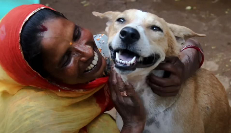 Extra image from article