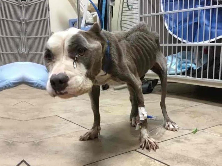 Trinity's health assessment revealed an ...