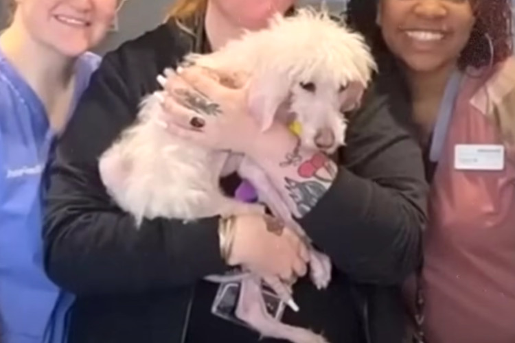 Extra image from article