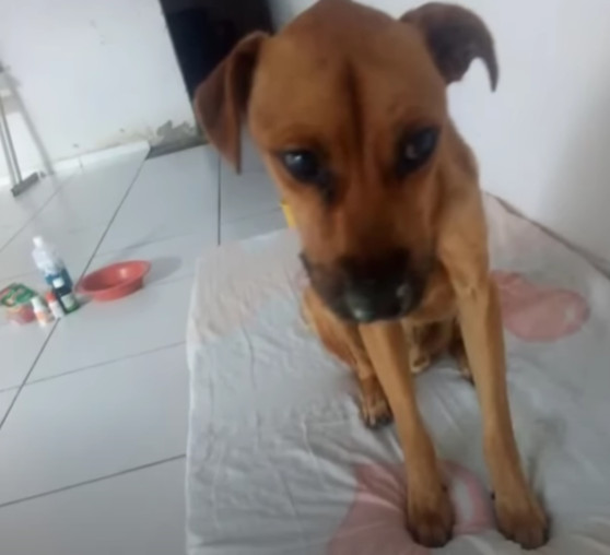 Extra image from article