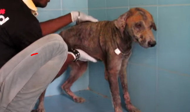 Perhaps the most remarkable change was t...