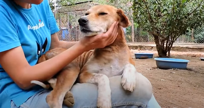 Extra image from article