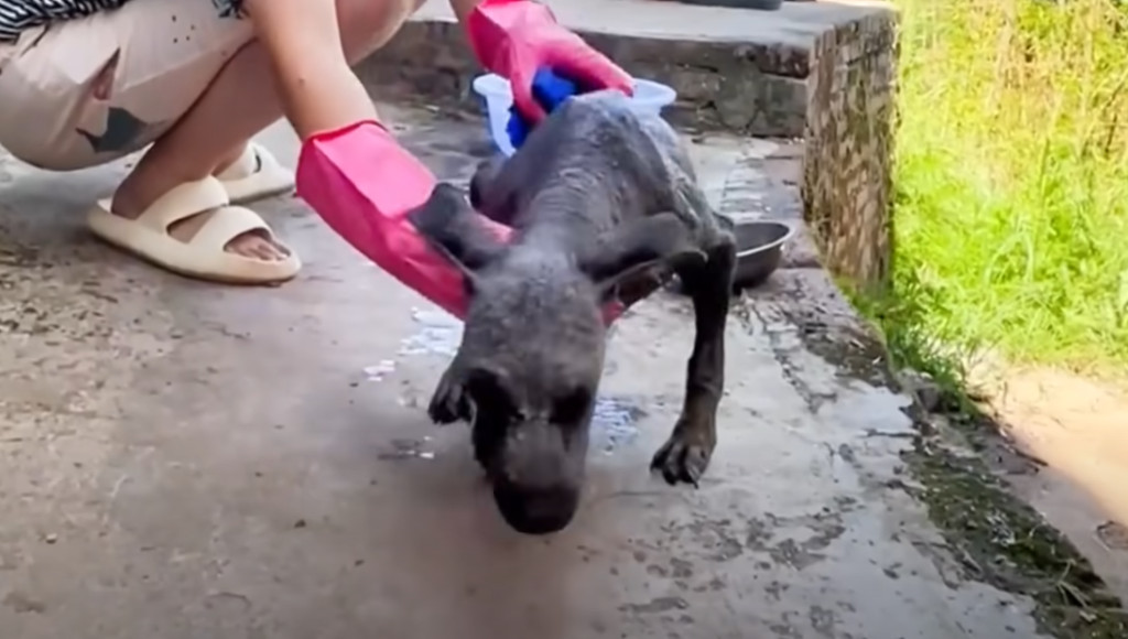 The surgery lasted for two hours, and Pa...