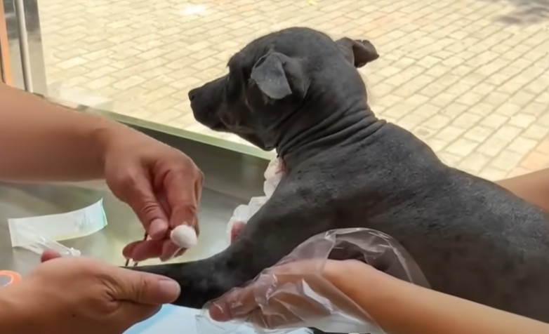 Before leaving, we bid farewell to Pan P...