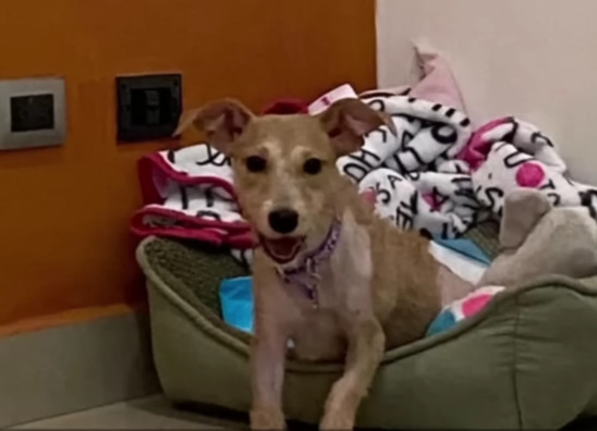 Throughout her journey to recovery, Bria...