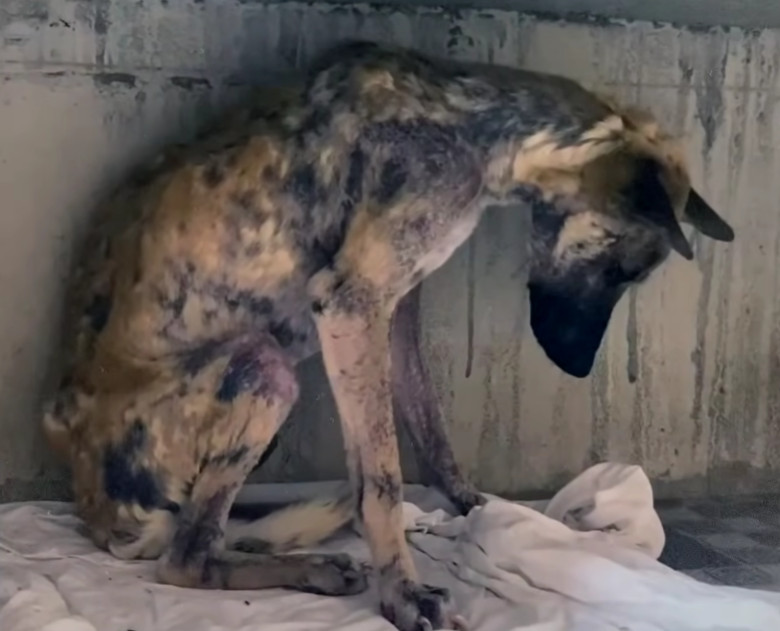 Today, Byron is a completely transformed...