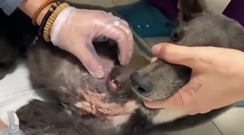 Extra image from article