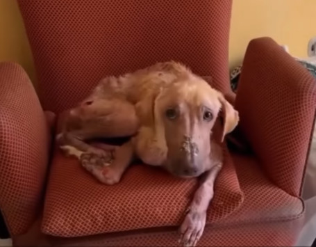 Extra image from article