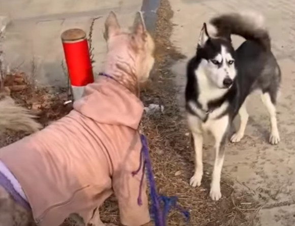 This new beginning not only brings happi...