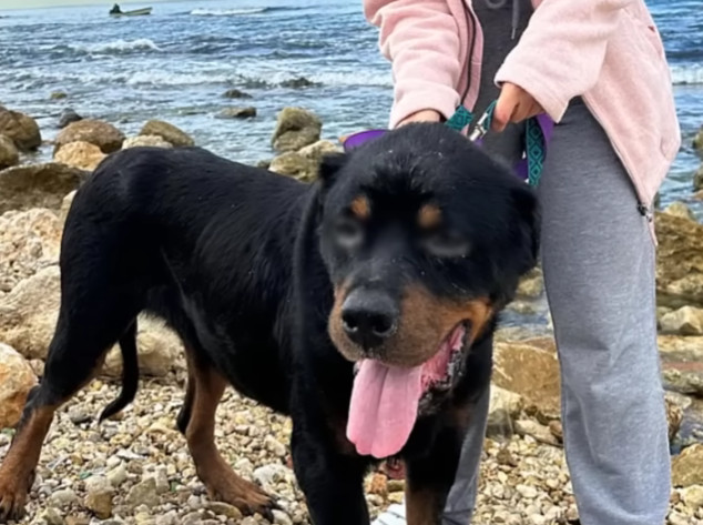 Extra image from article