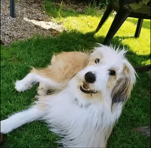 Extra image from article