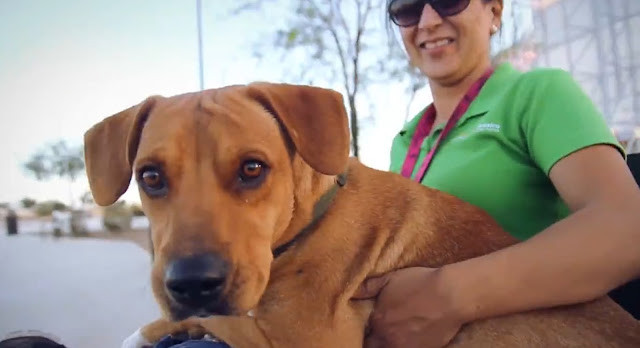 Extra image from article