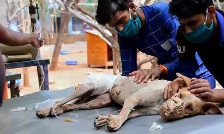 Extra image from article