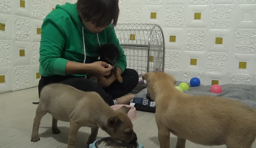 Extra image from article