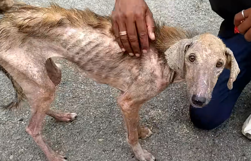 Recognizing the urgency of her situation...