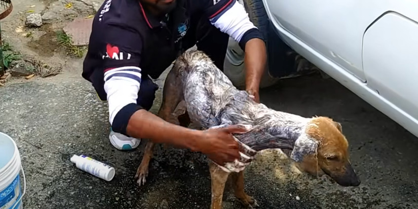 Extra image from article