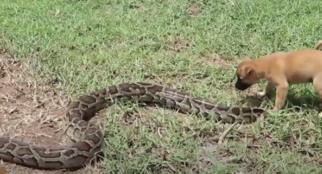 Extra image from article