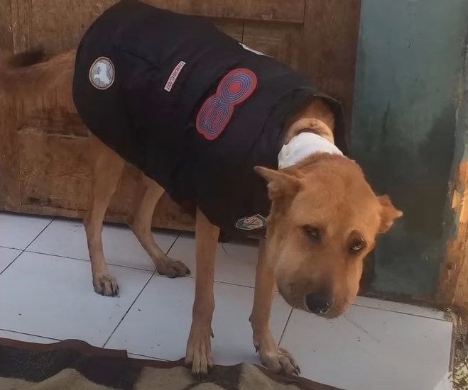 Take a look at the photo below; doesn't ...