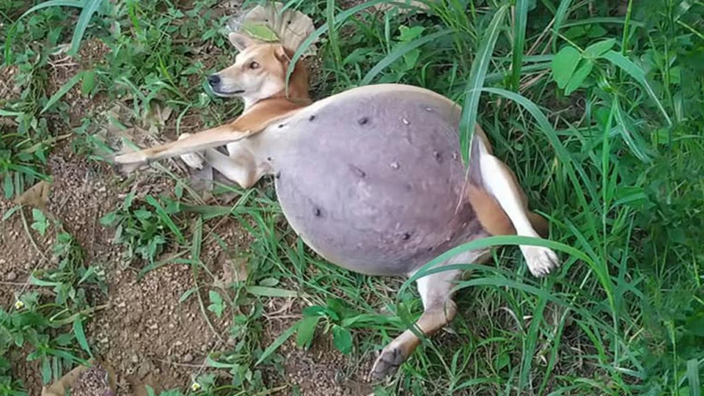 Determined to earn her trust and provide...