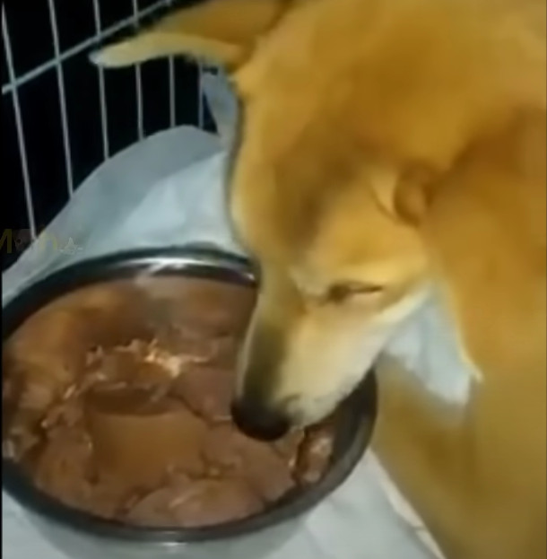 Extra image from article