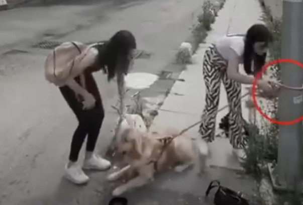 Extra image from article