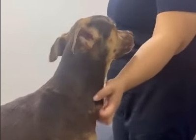 Extra image from article