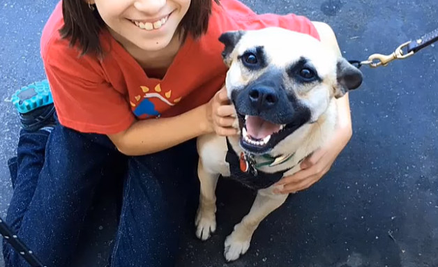 Extra image from article