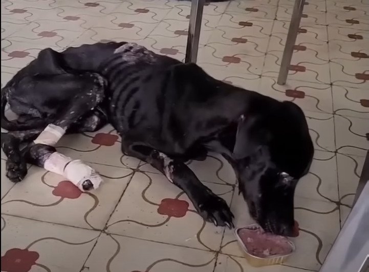 Extra image from article