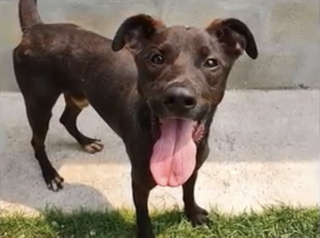 Extra image from article