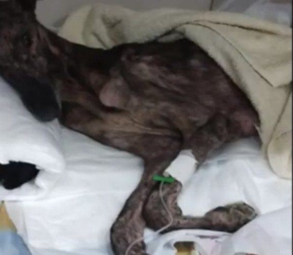 Through stories like Ruperto's, we aim t...