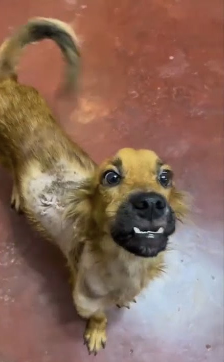 Extra image from article