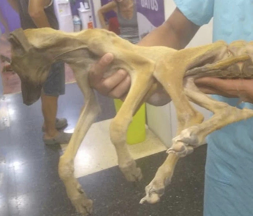 Yet, even in the depths of his despair, ...