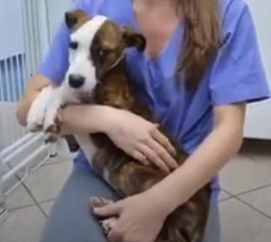 Extra image from article