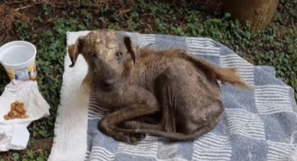 As the chilly winds of winter gave way t...