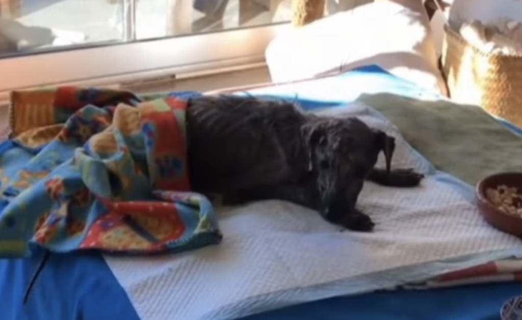 Extra image from article