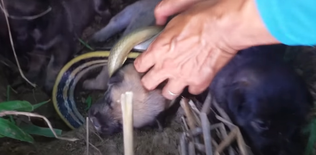 We are thankful for the support and enco...