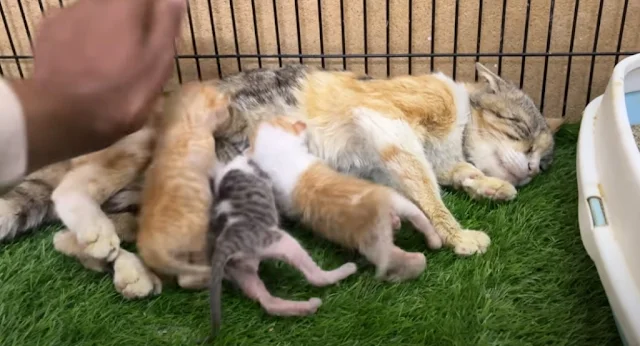 We realized that we had been part of som...