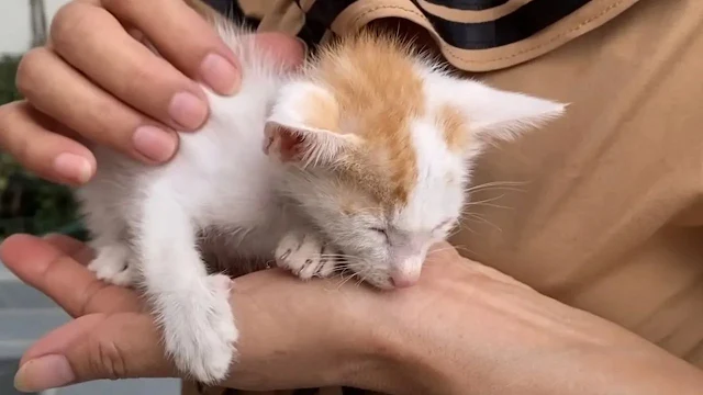 Once they arrived at their destination, ...