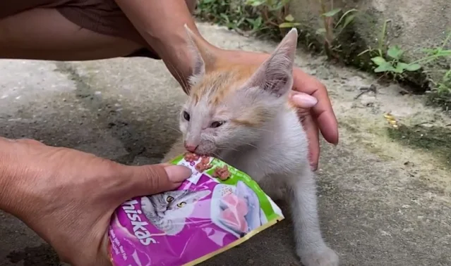 The road to recovery was slow and challe...