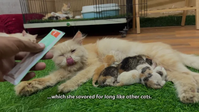 Extra image from article